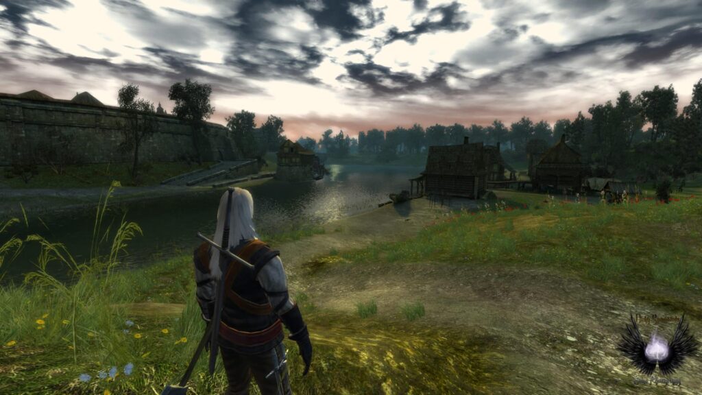 the witcher schermata di gioco