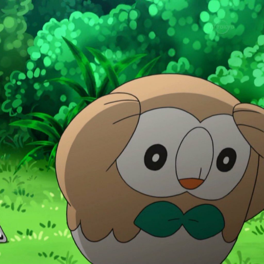 Rowlet, Cyndaquil