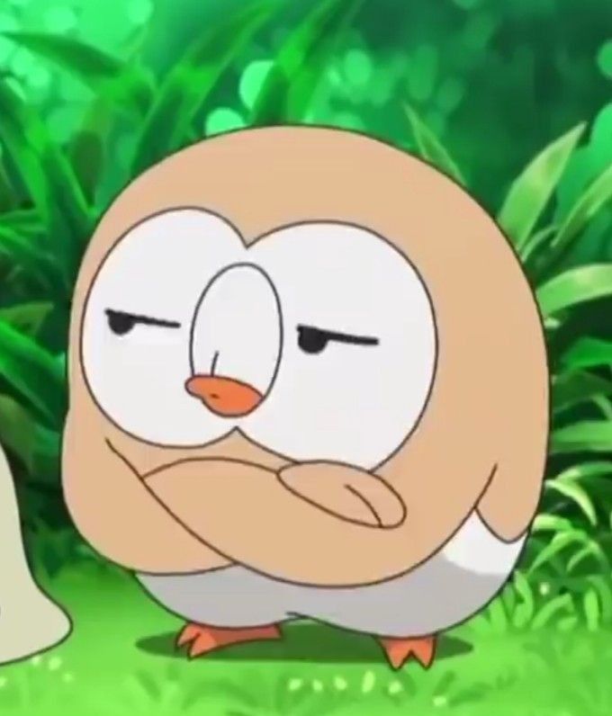 Rowlet, Cyndaquil