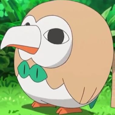 Rowlet, Cyndaquil