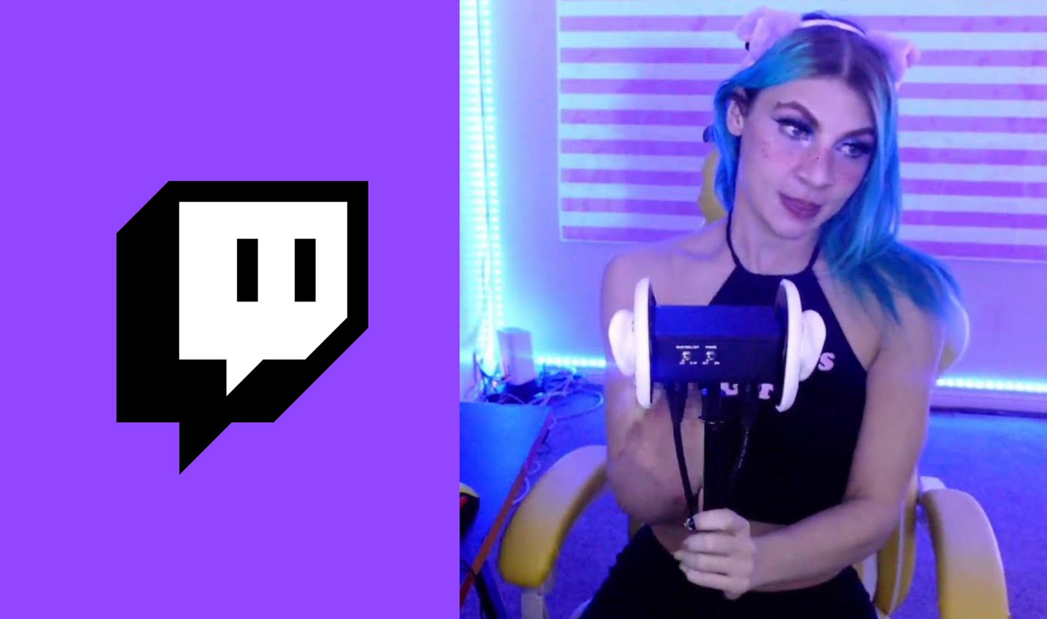 Saveaprincess Twitch ASMR