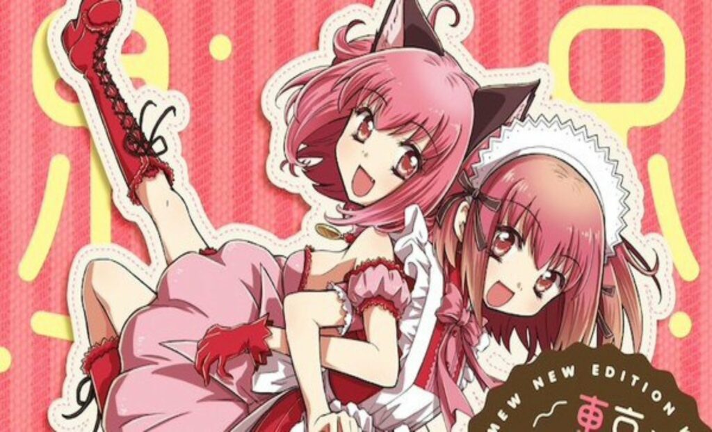 Tokyo Mew Mew