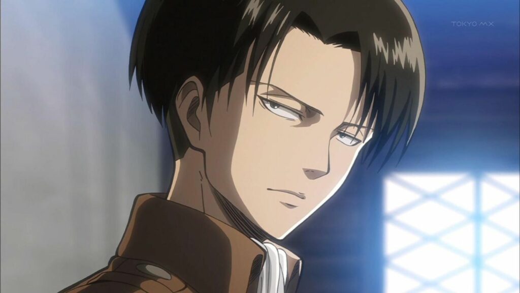 Levi aot