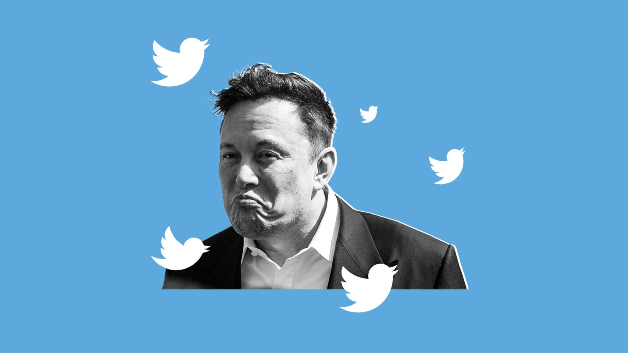 Elon Musk Twitter