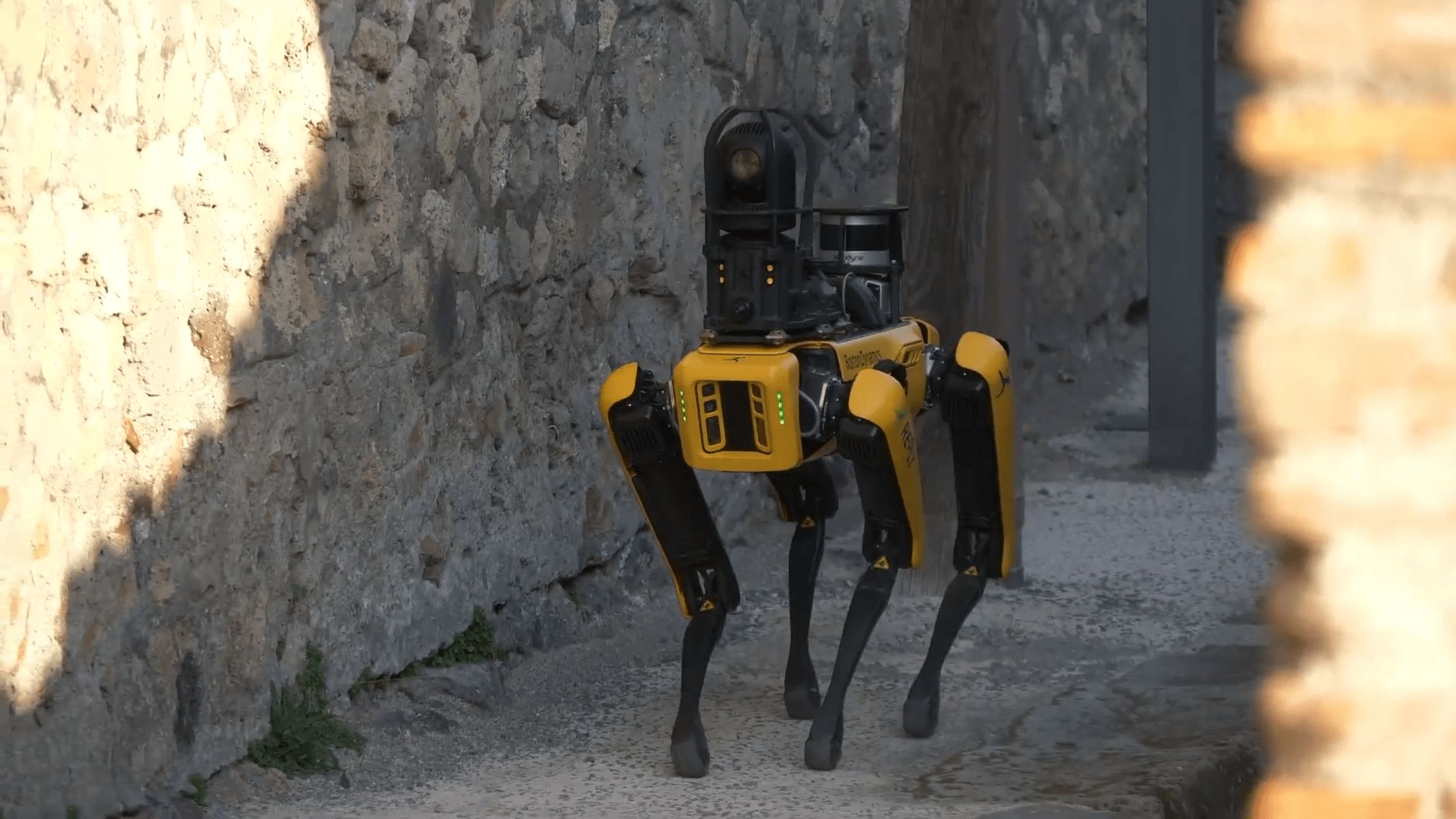 Spot Boston Dynamics