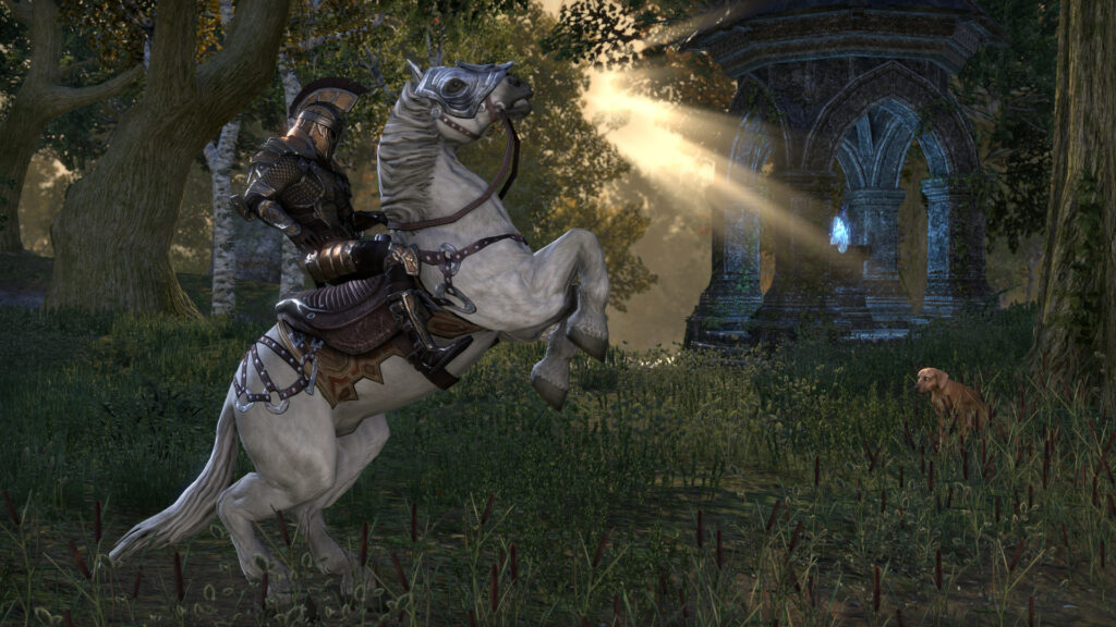 The Elder Scrolls Online screenshot 1