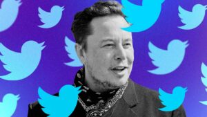 Elon Musk Twitter privacy