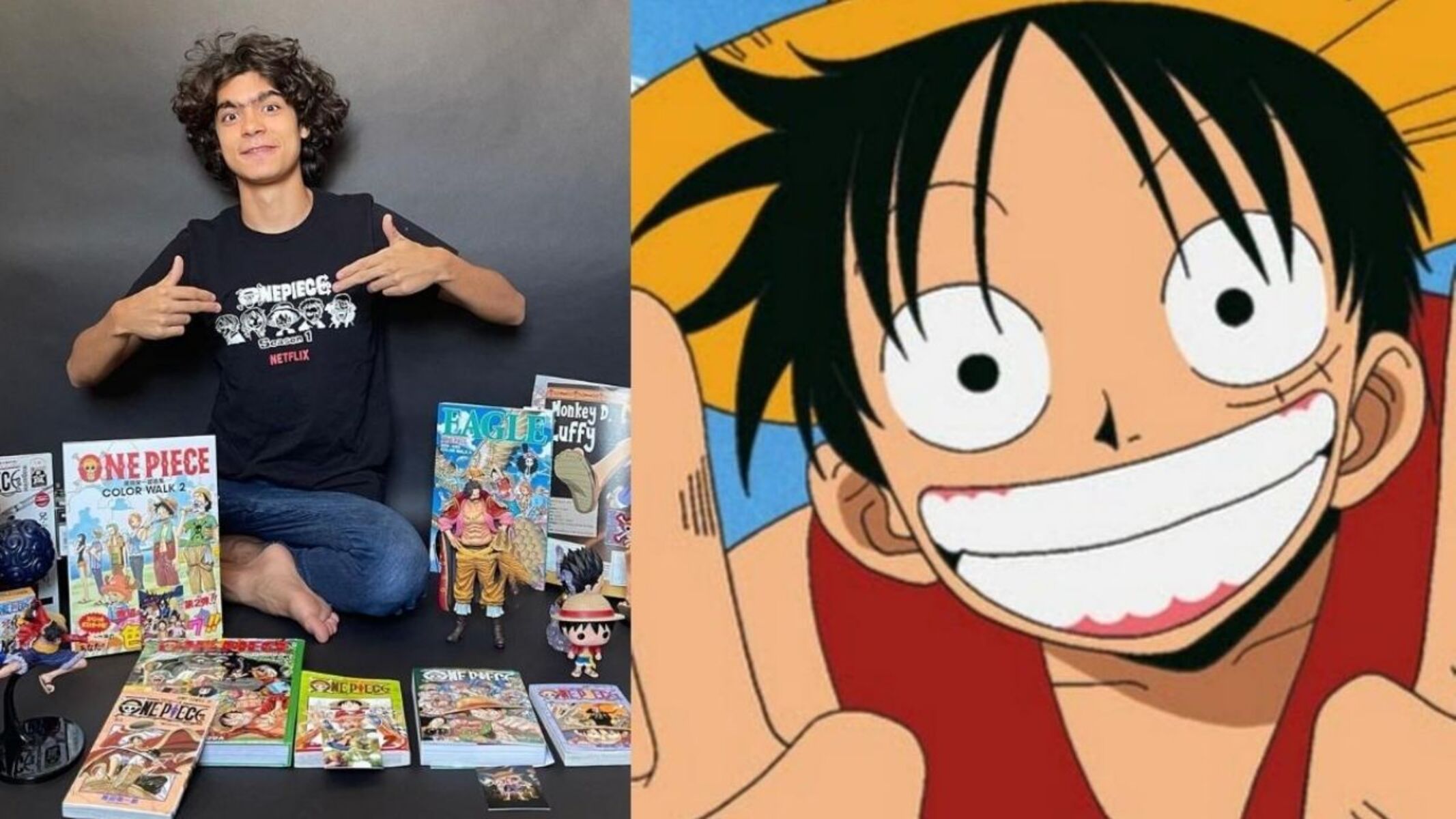 one piece copertina