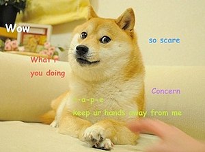 Original Doge meme