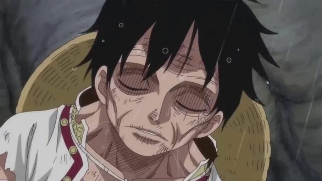 one piece starved luffy