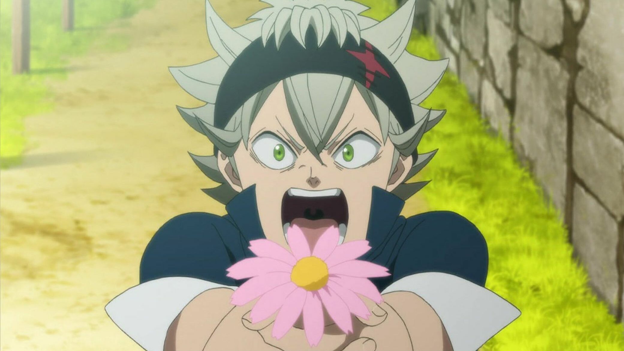 Black Clover TV 59da0f8d17c3a edited