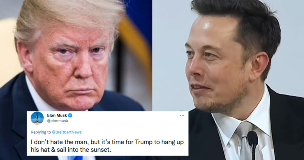 elon musk donald trump