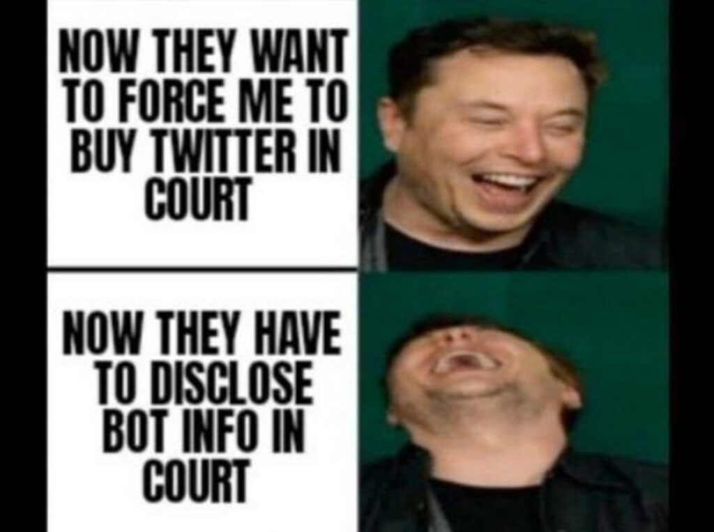 Elon Musk meme