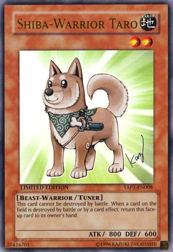 ShibaWarriorTaro YAP1 EN UR LE