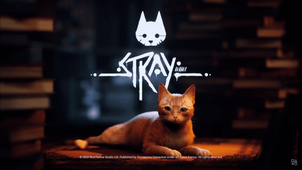 Stray