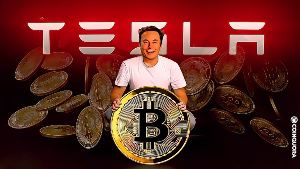 tesla bitcoin elon musk