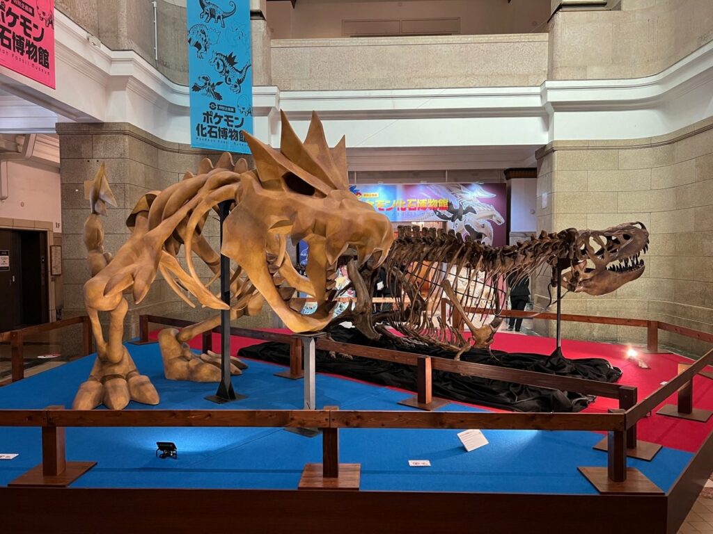 pokemon fossil museum mostra 04