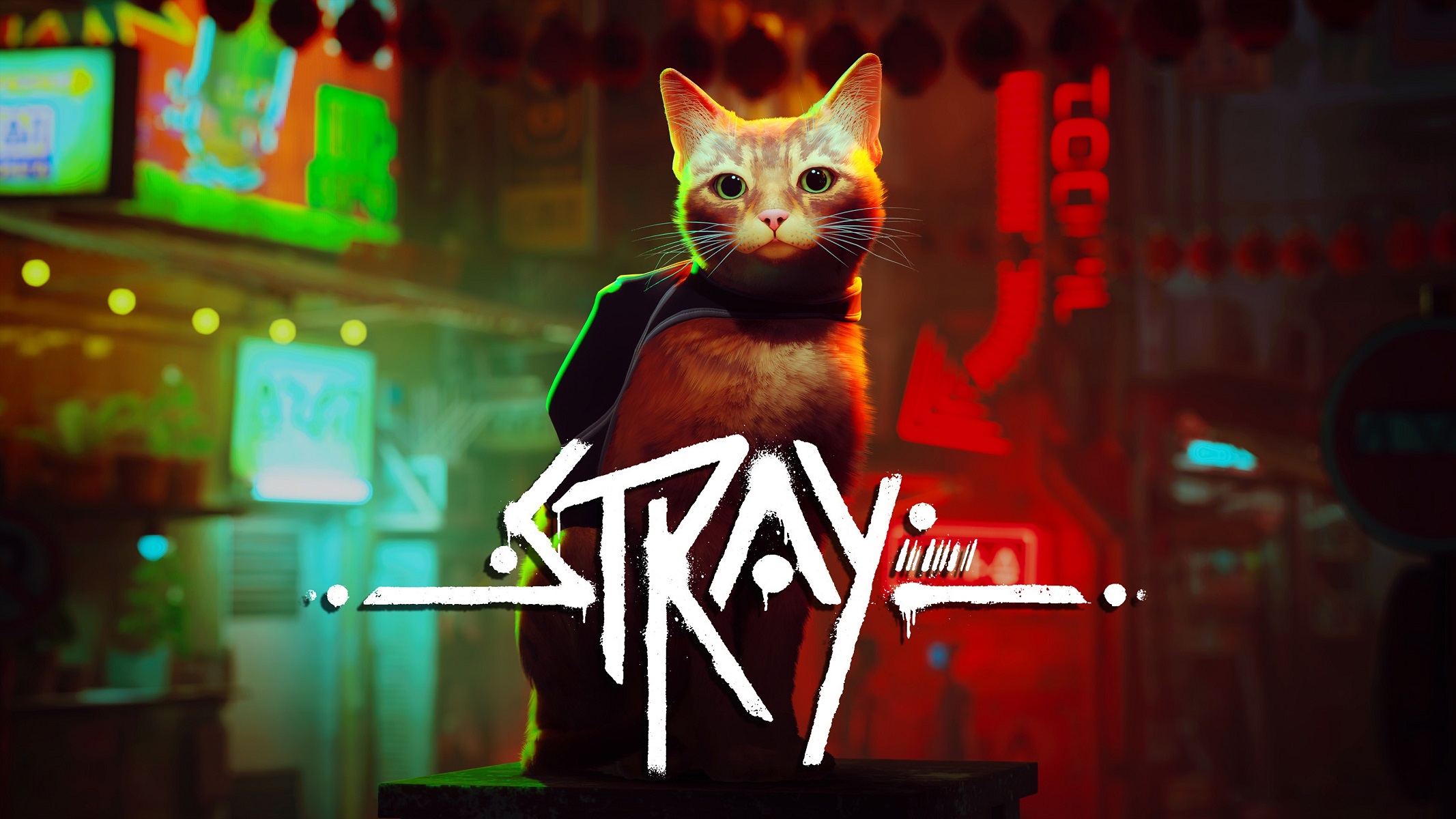 Stray keyart