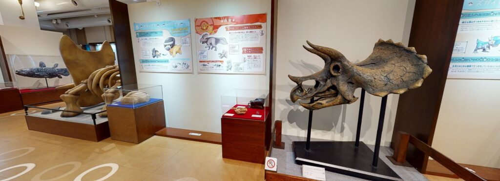 tour virtuale museo pokemon fossili