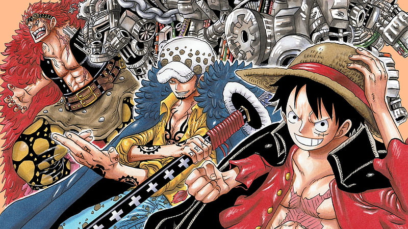 HD wallpaper one piece monkey d luffy trafalgar law