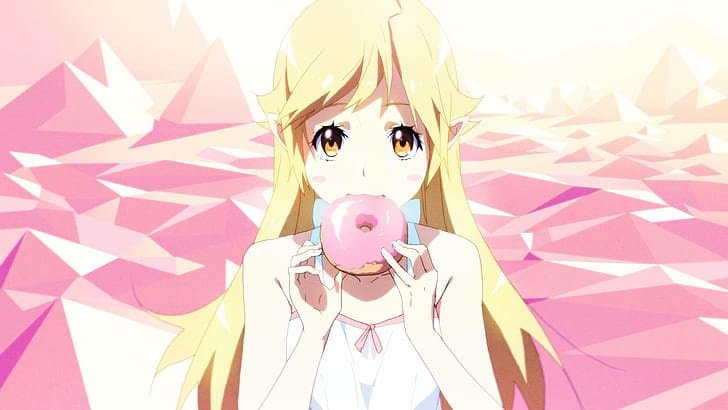 shinobu oshino donuts