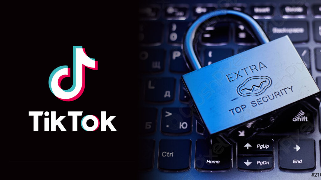 TikTok tastiera spia registra browser