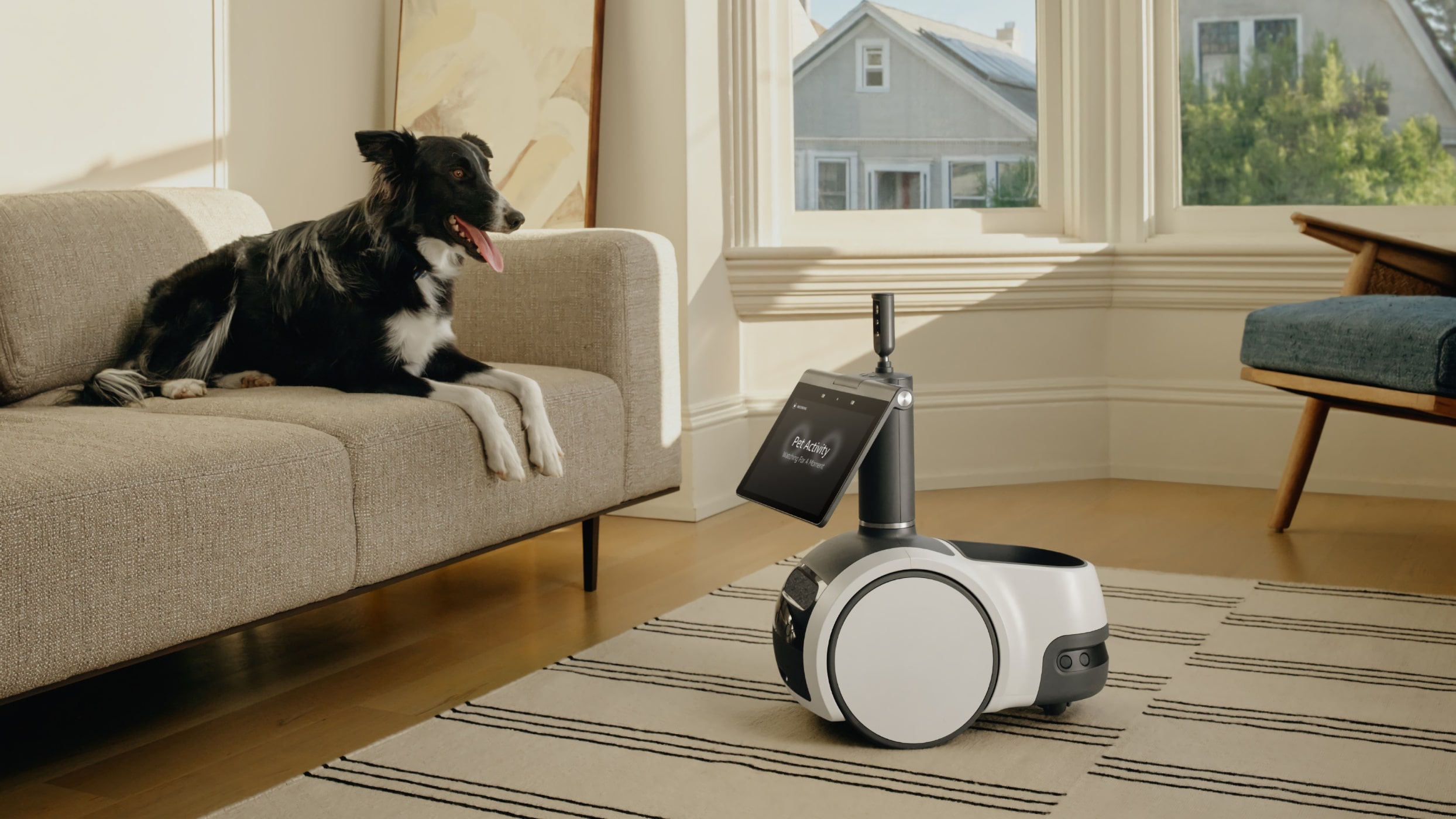 Amazon Astro con animale domestico