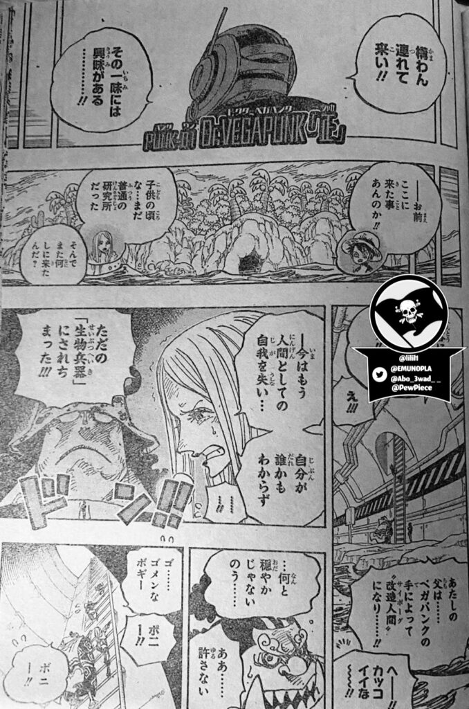 One Piece 1062 spoiler completi, traduzione in italiano con immagini e  dialoghi: una missione