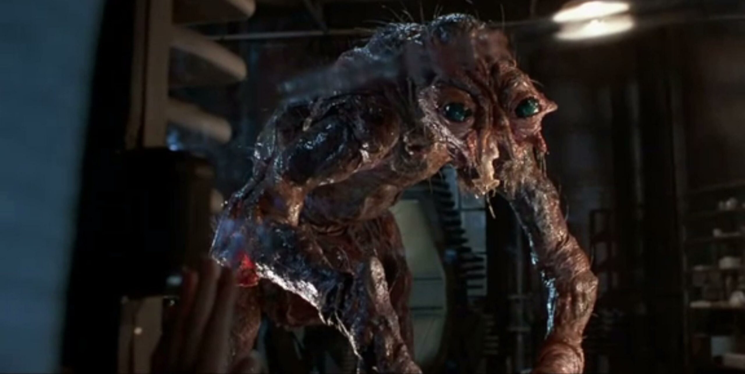 The Fly (La Mosca): "la disgustosa" decadenza umana secondo David Cronenberg
