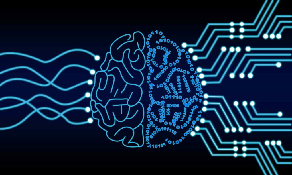 L'IA da autodidatta può essere accomunata al cervello umano