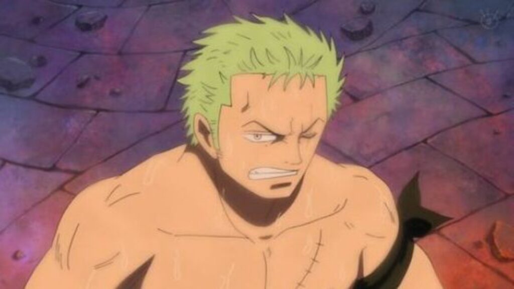 one piece zoro