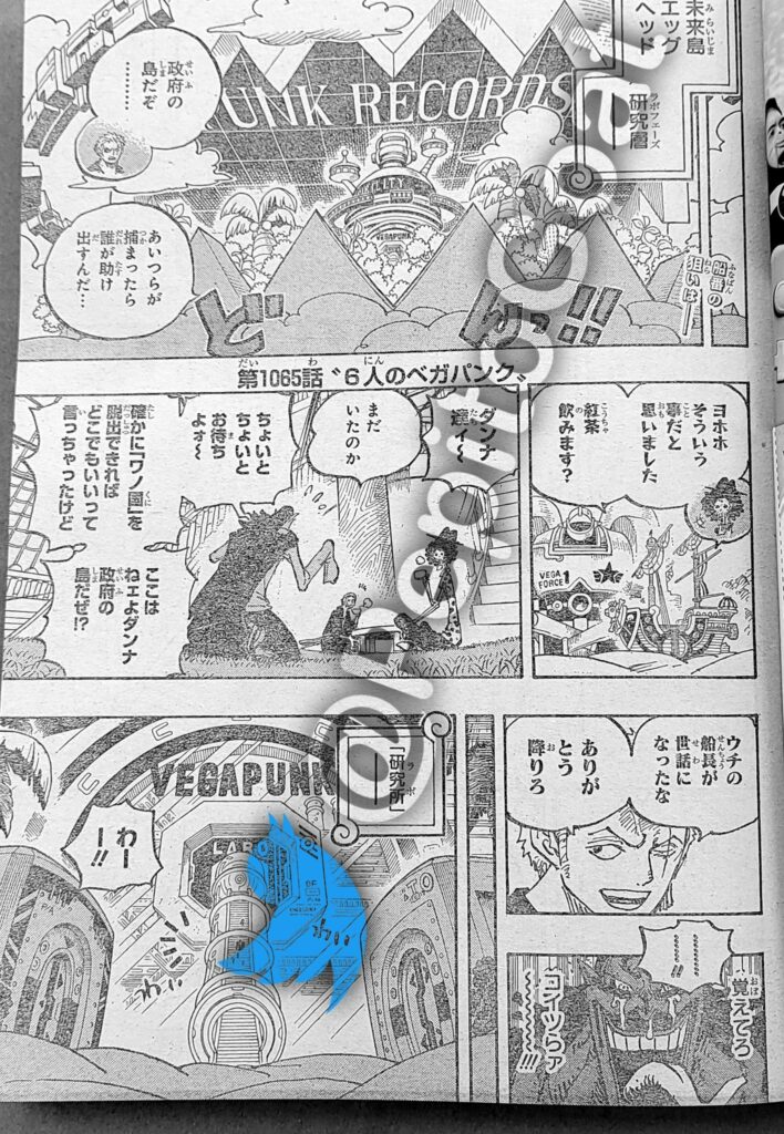 One Piece 1065: primo indizio sul capitolo - OnePiece.it