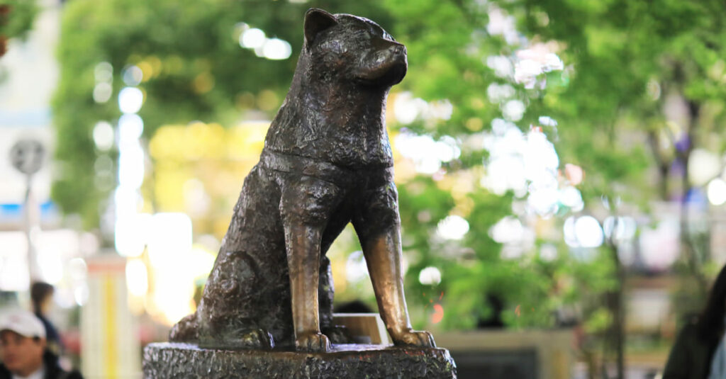 Statua di Hachiko 2 1