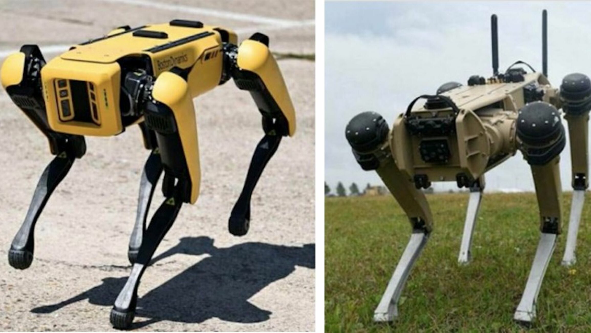 boston dynamics vs. ghost robotics, i due robot a confronto