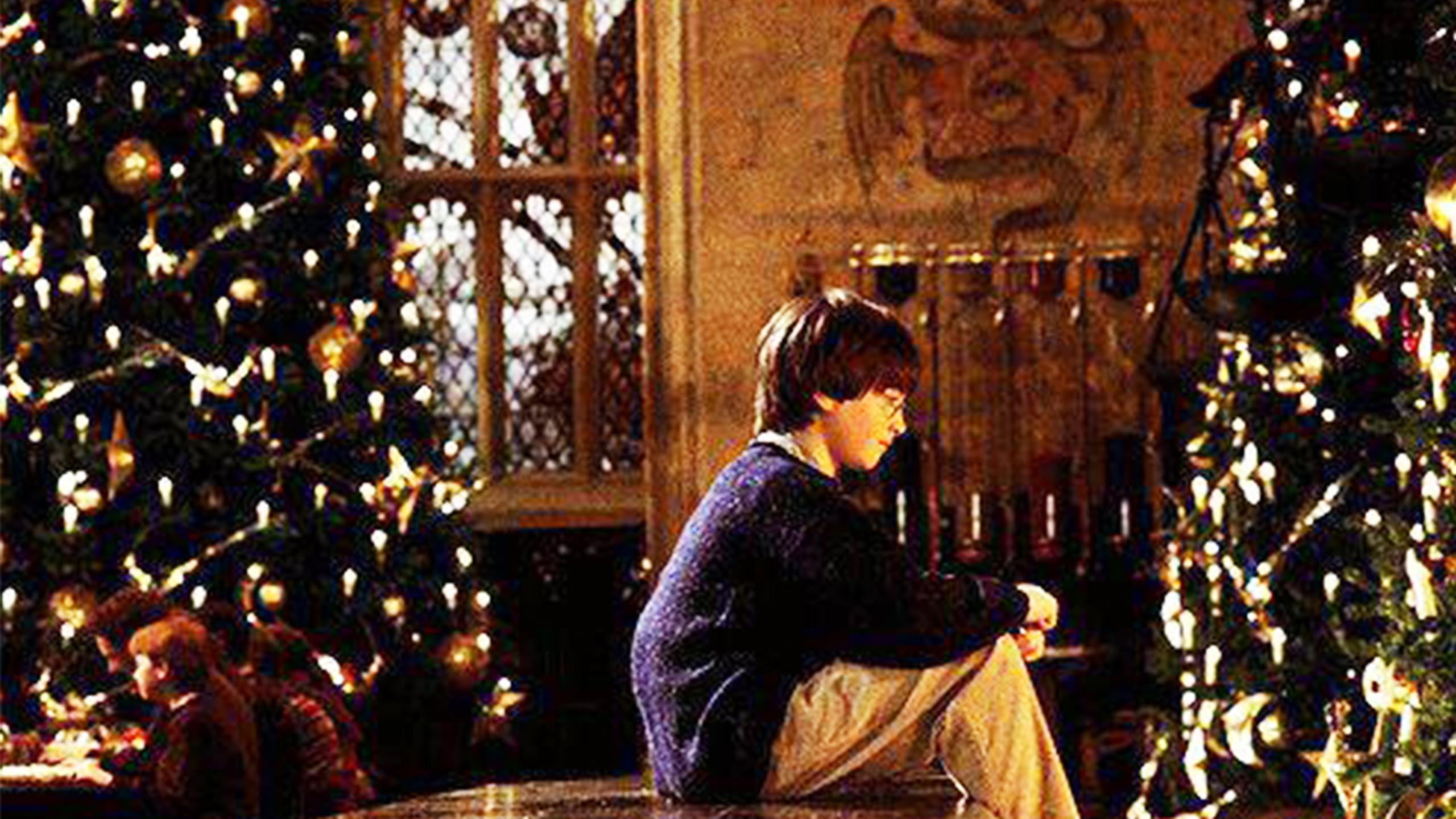 Harry Potter: arriva il Pandoro a tema e il Calendario dell'Avvento firmato Paluani