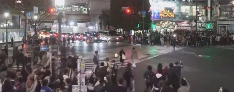 tifosi giapponesi semaforo verde