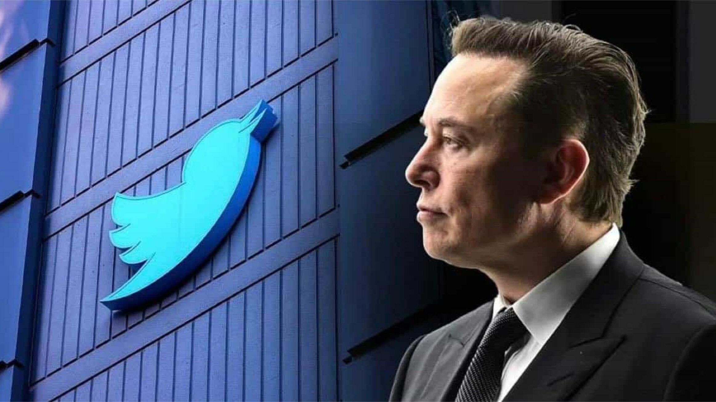 twitter elon musk licenziamenti