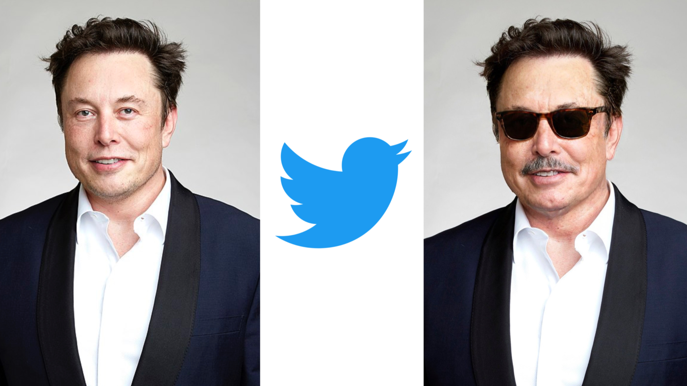 Elon Musk finto CEO di Twitter Nole