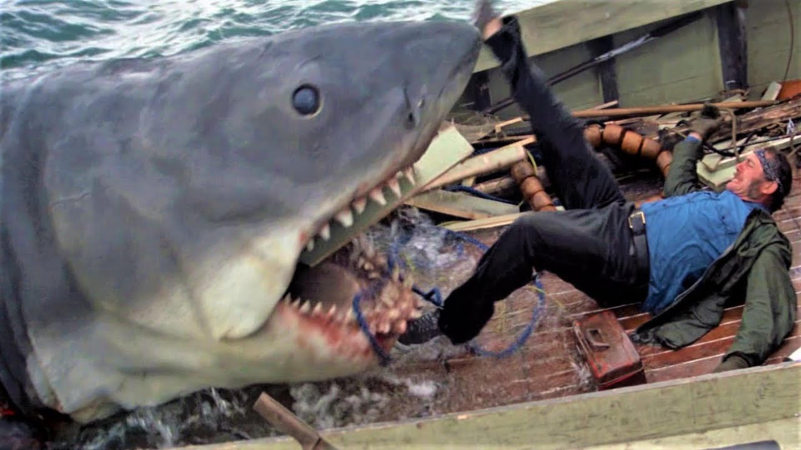 Lo Squalo, Spielberg si espone: "Mi dispiace che film e libro siano stati artefici della decimazione degli squali"