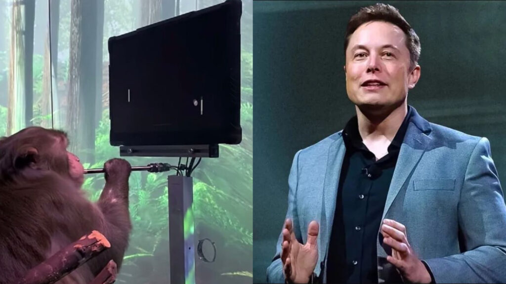 Neuralink ed Elon Musk