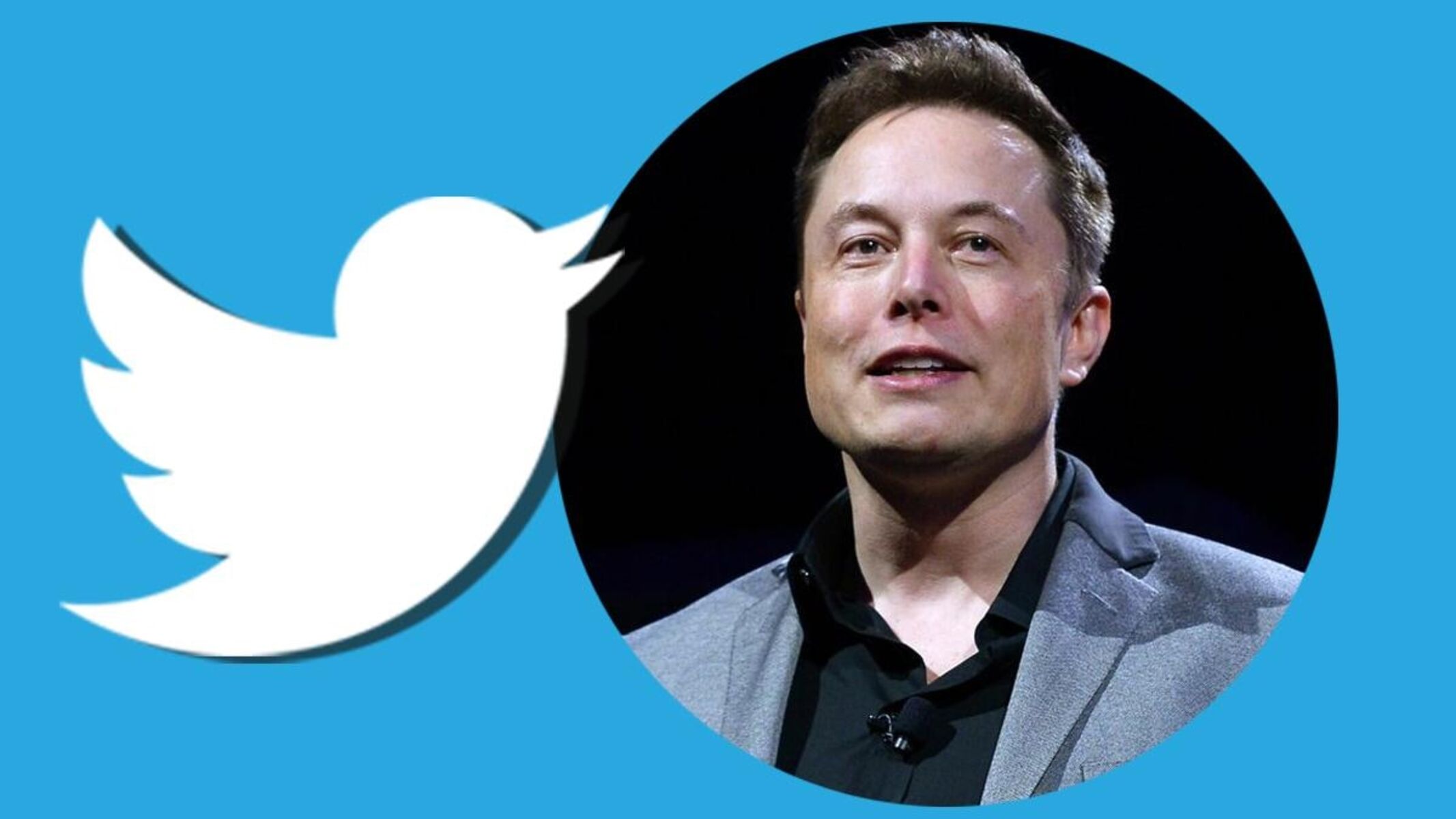 Twitter elon musk