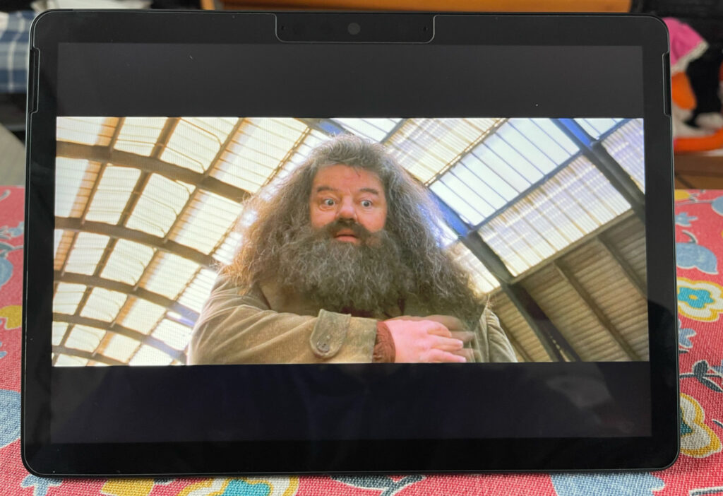 Hagrid Surface