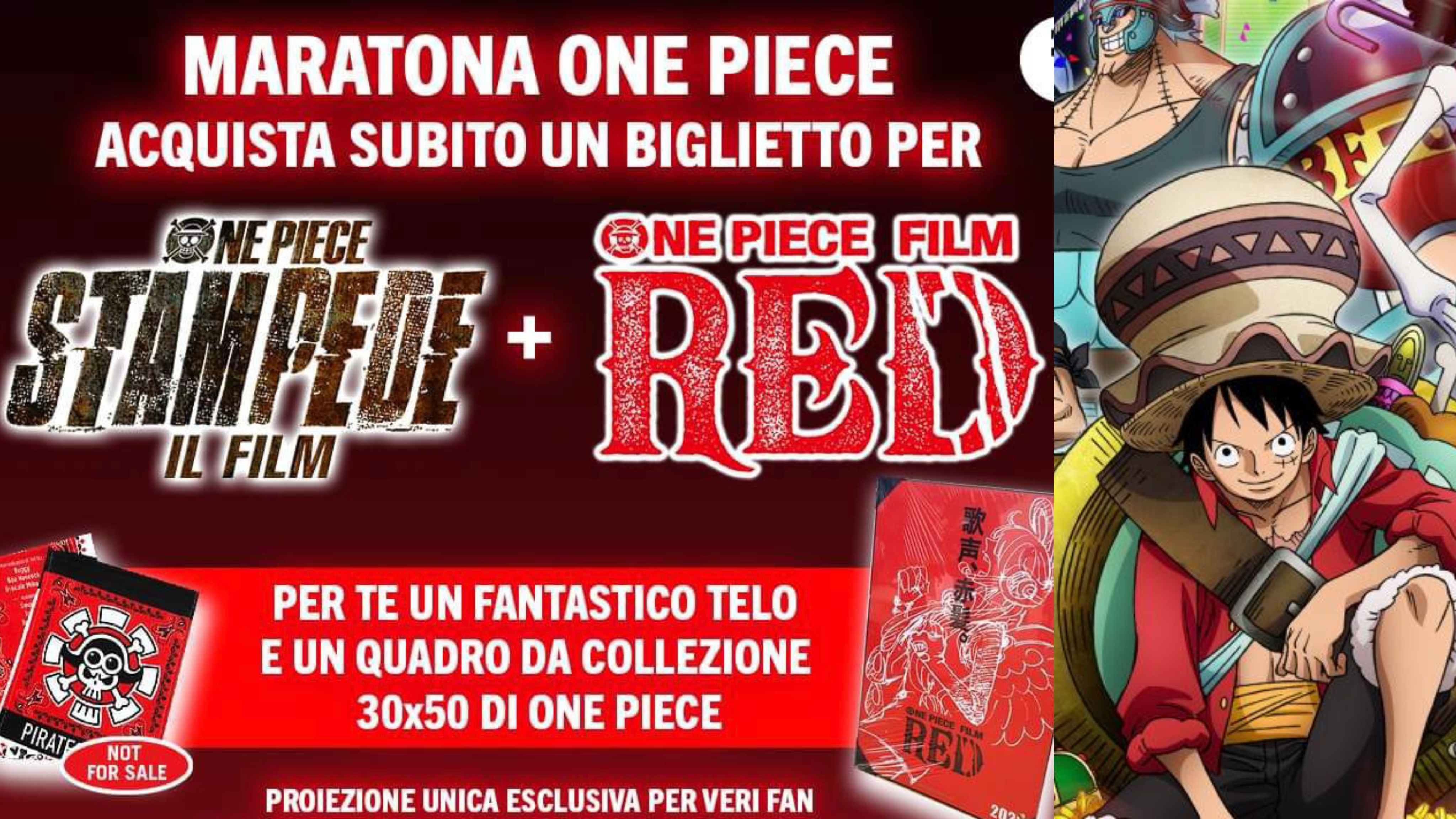 One Piece maratona