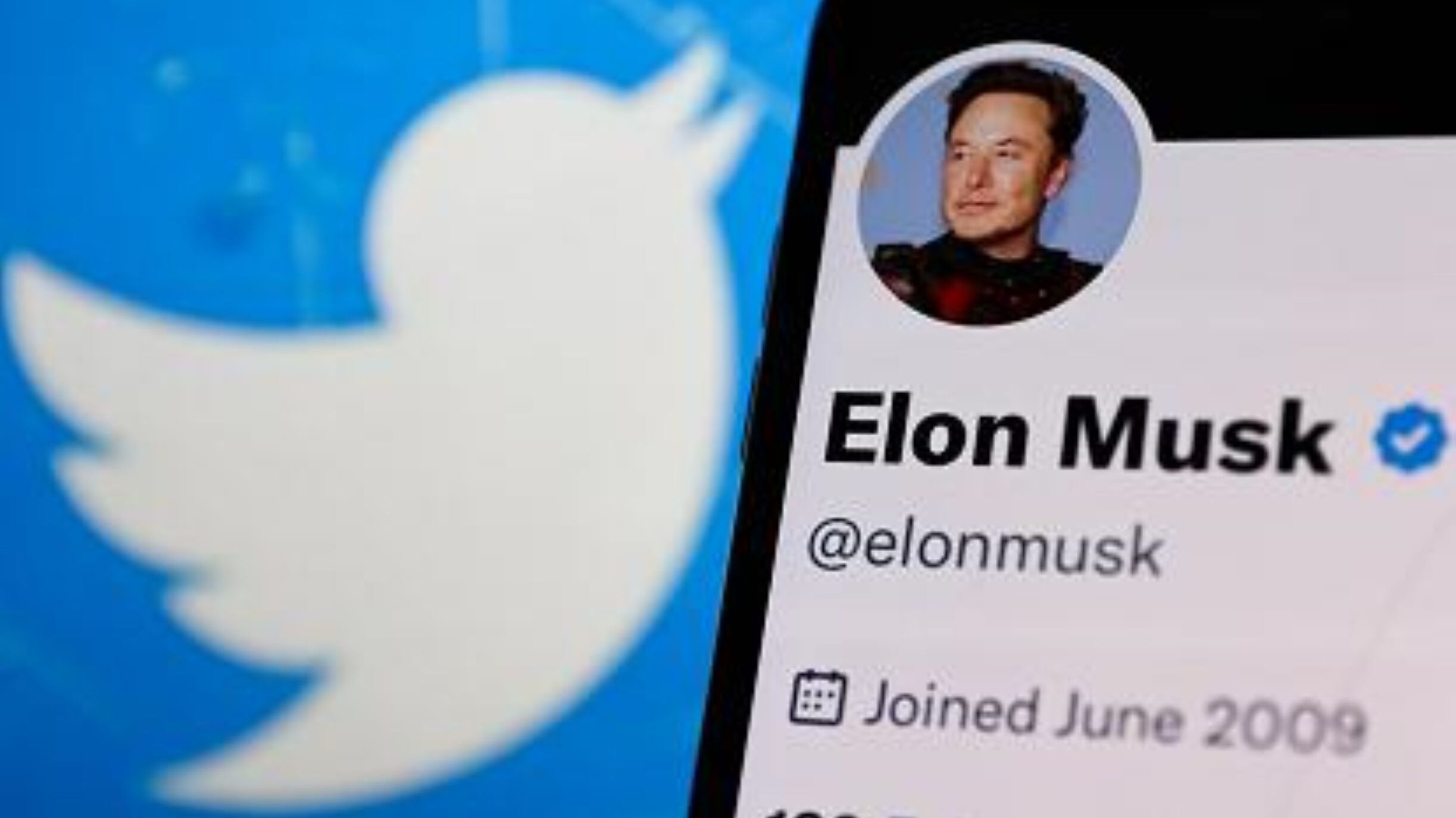 Elon Musk, CEO di Twitter