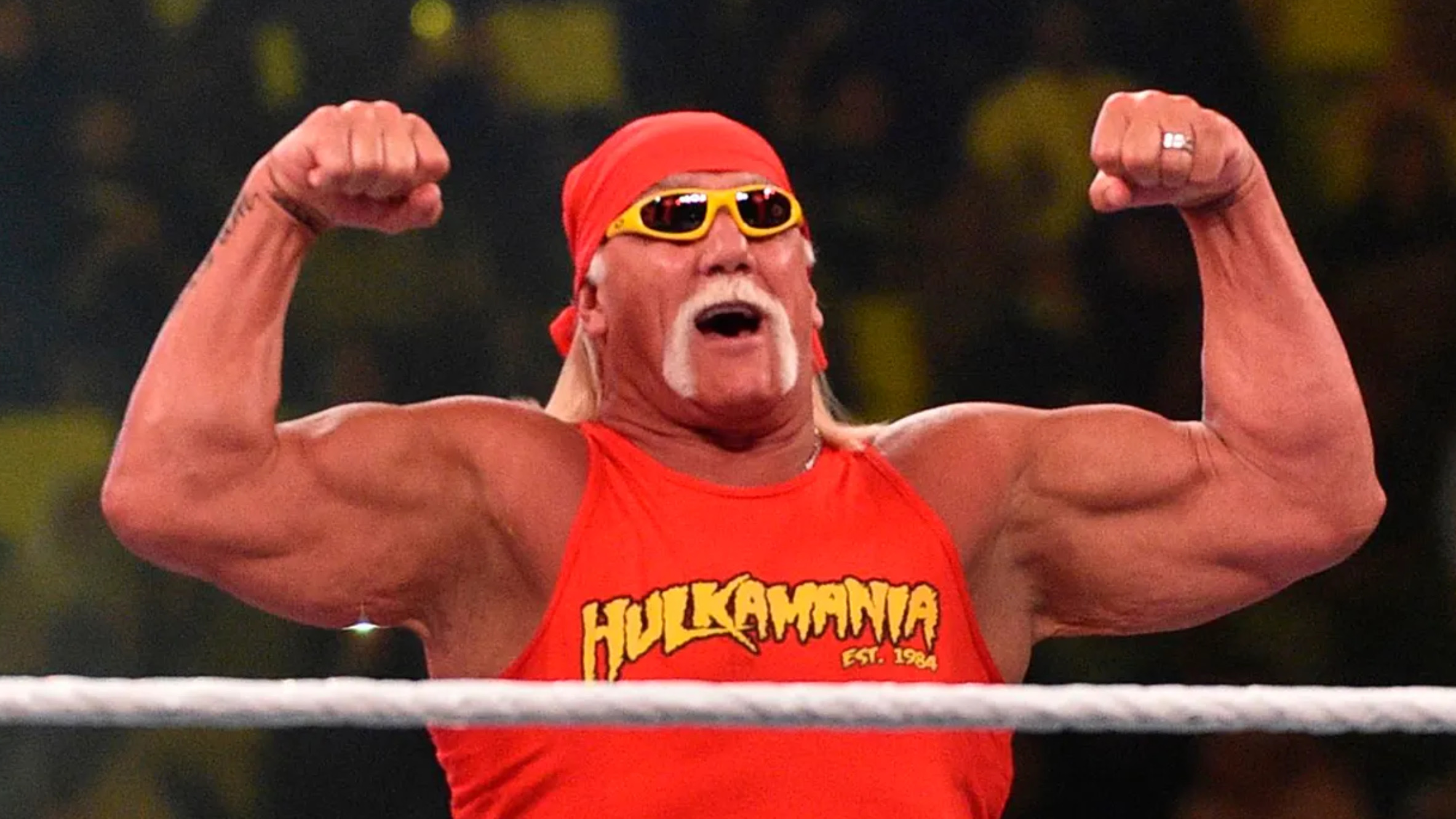 hulk hogan wrestler