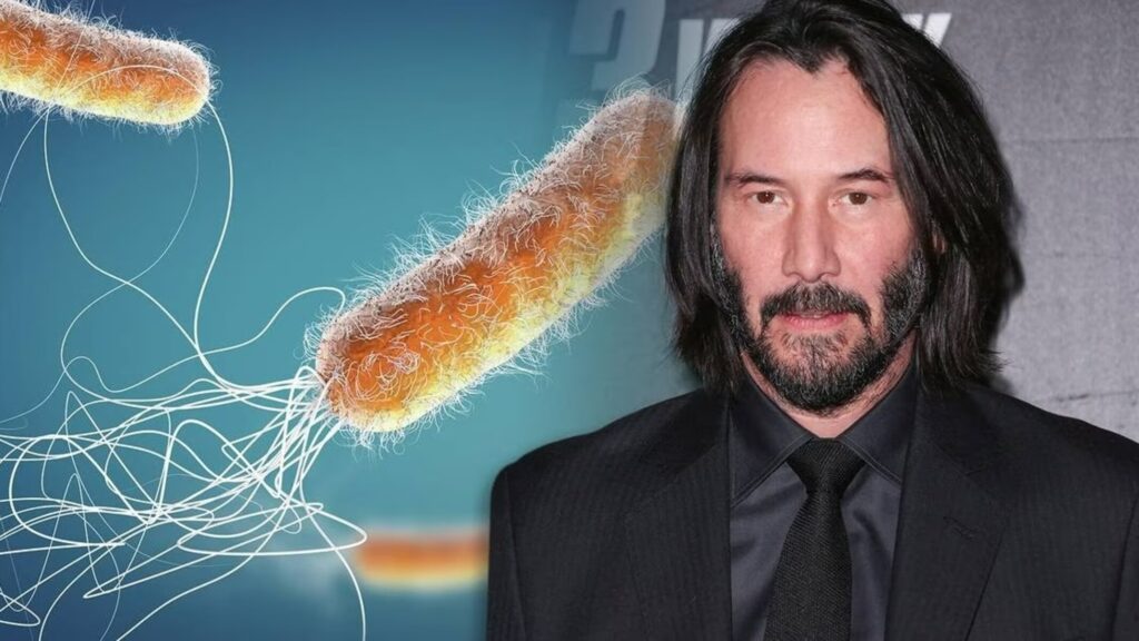 keanu reeves john wick