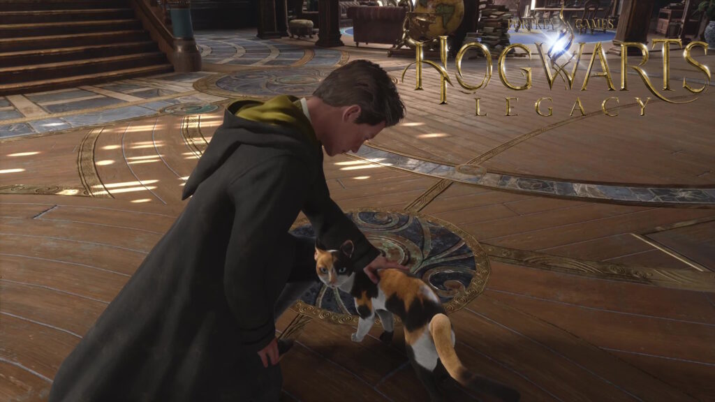 Hogwarts Legacy accarezzare un gatto