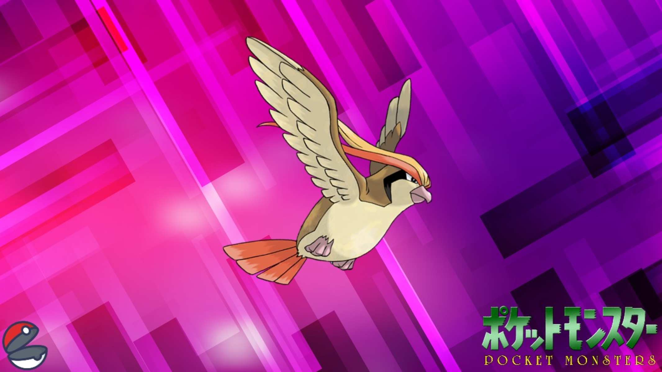 Pidgeot