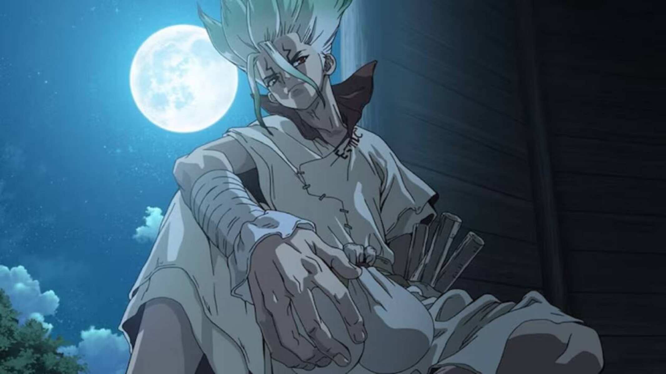 Dr. Stone