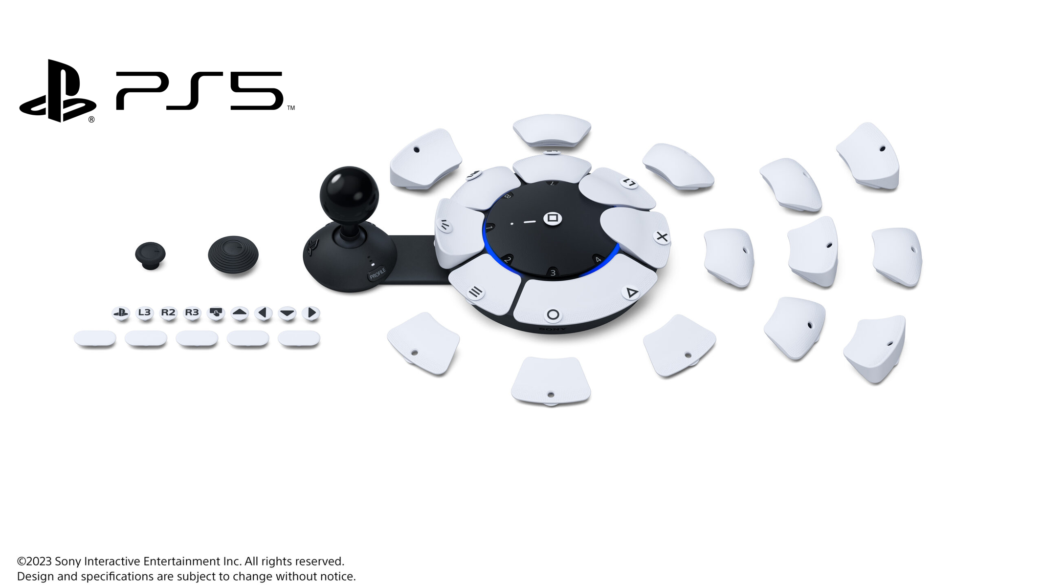 PS5 Controller Access